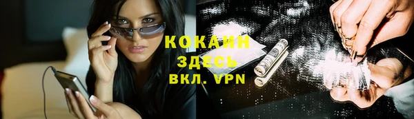 мяу мяу мука Аркадак