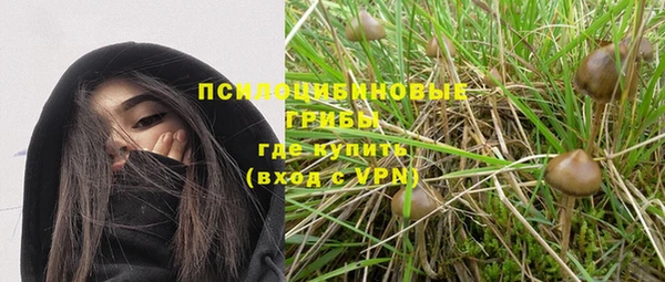 мяу мяу мука Армянск