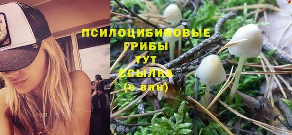 а пвп мука Балабаново