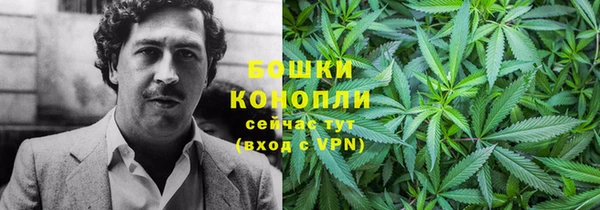 дживик Баксан