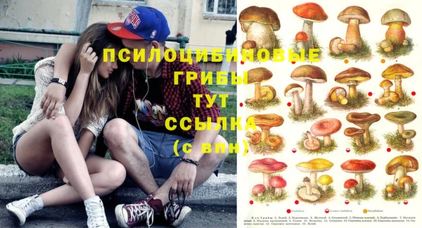 мяу мяу мука Аркадак