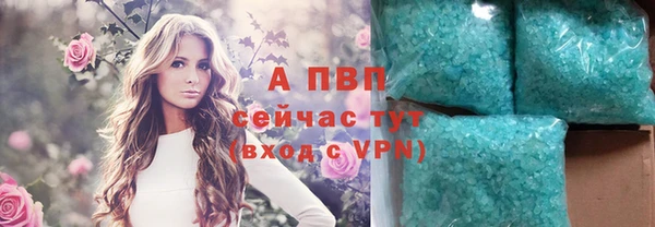 мяу мяу мука Аркадак
