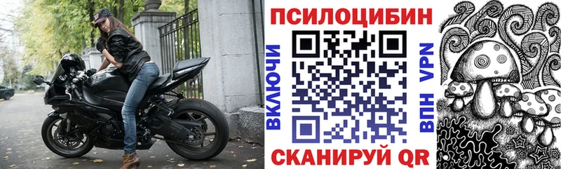 darknet официальный сайт  Новая Ладога  Псилоцибиновые грибы Magic Shrooms 