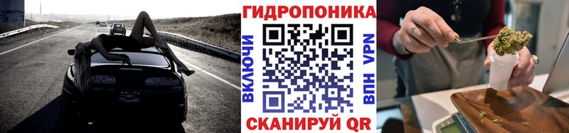 Шишки марихуана план  закладка  Новая Ладога 